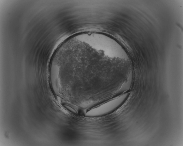 X0000091481240200709131806