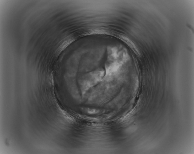 X0000091481241200709131806