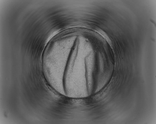 X0000091481242200709131806