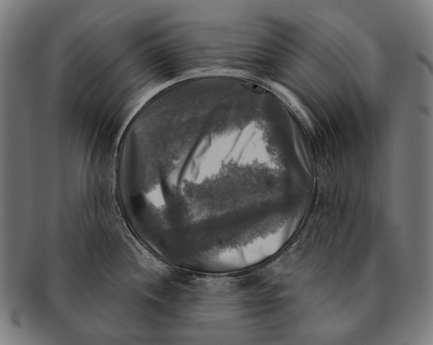 X0000091481244200709131806