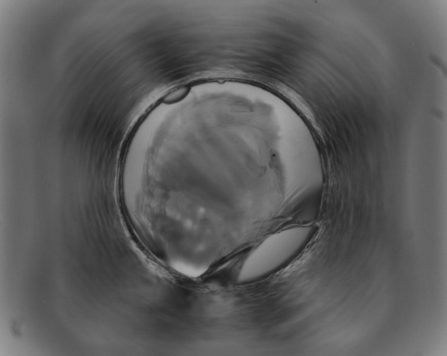 X0000091481245200709131806