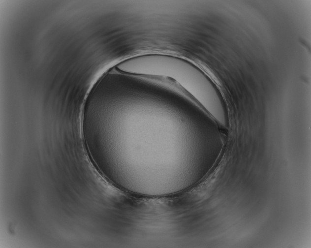 X0000091481246200709131806