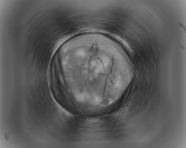 X0000091481247200709131806