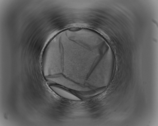 X0000091481248200709131806