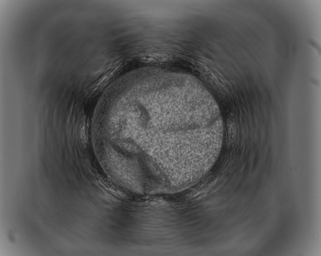 X0000091481250200709131805