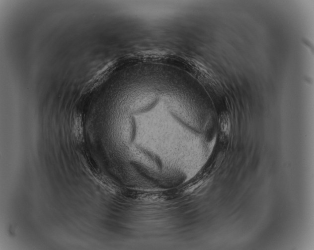 X0000091481252200709131805