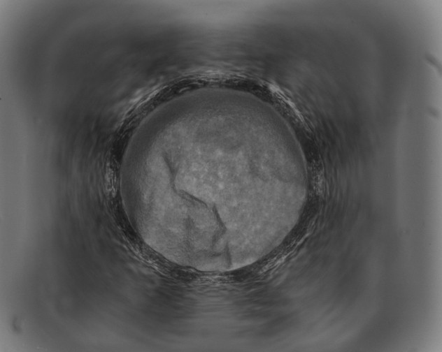 X0000091481253200709131805