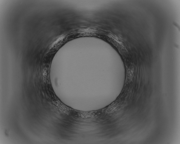 X0000091481254200709131805