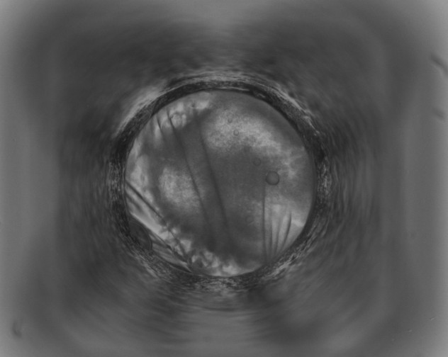 X0000091481255200709131805