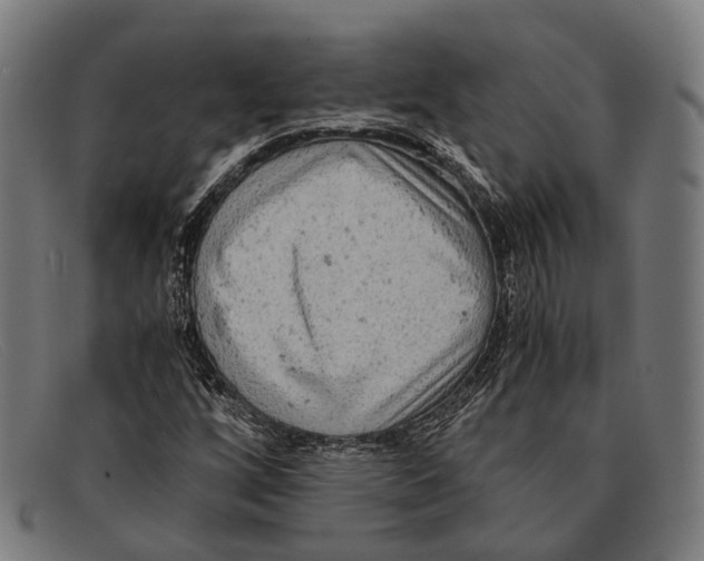 X0000091481256200709131805