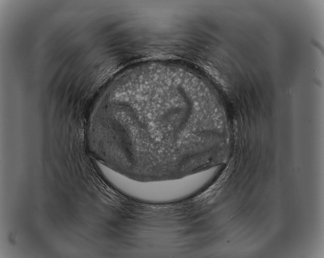 X0000091481257200709131805