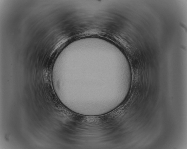 X0000091481258200709131805