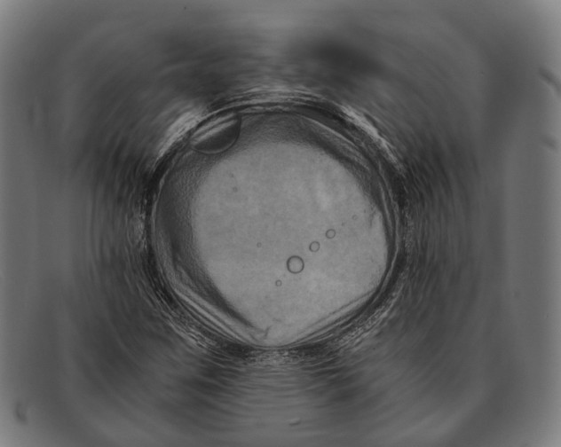 X0000091481259200709131805