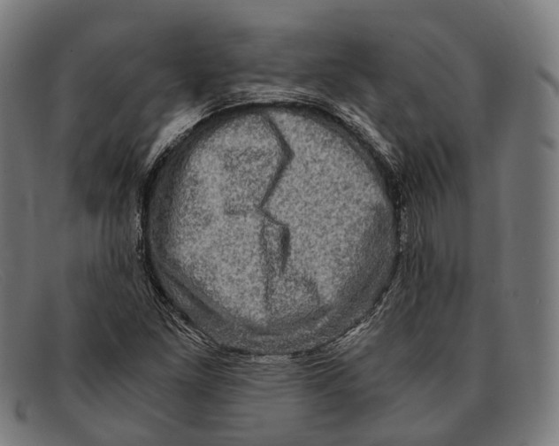 X0000091481261200709131805