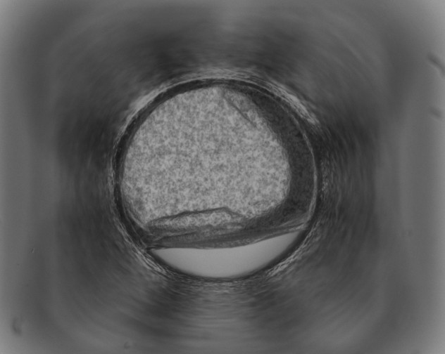 X0000091481264200709131805