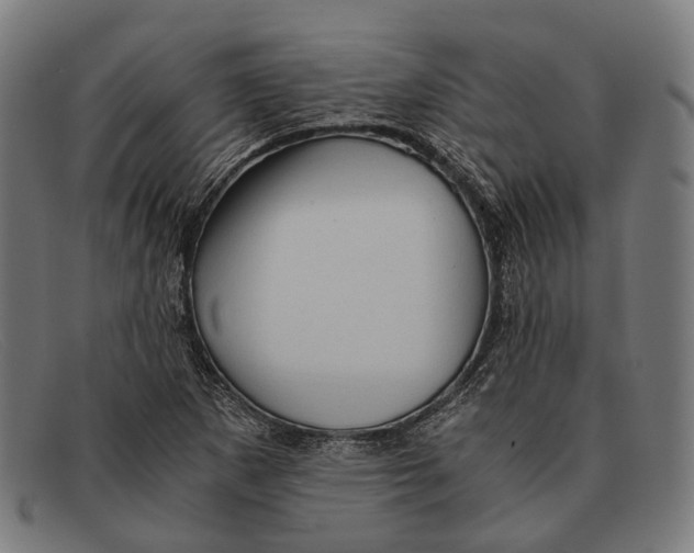 X0000091481265200709131805