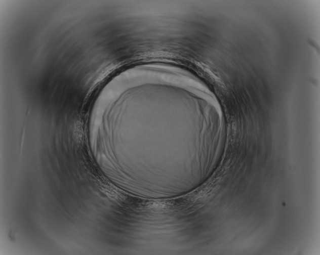 X0000091481266200709131805