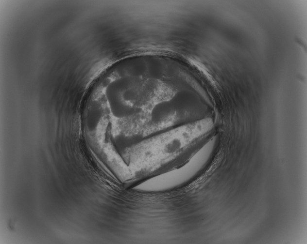 X0000091481267200709131805