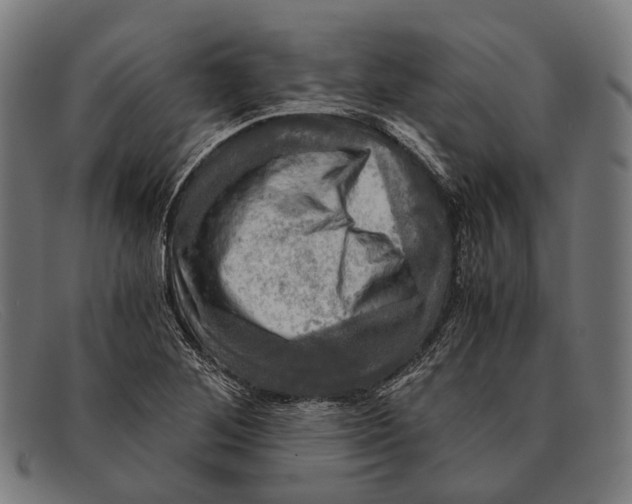 X0000091481268200709131805