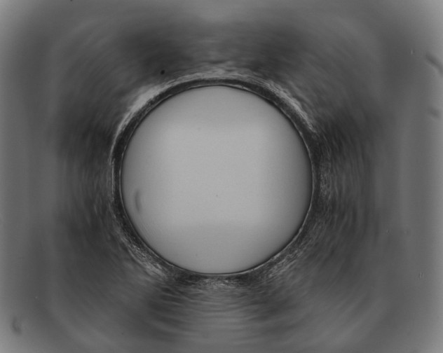 X0000091481270200709131805