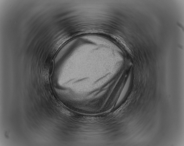 X0000091481273200709131805