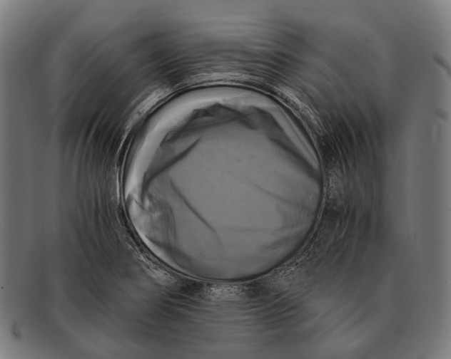 X0000091481274200709131805