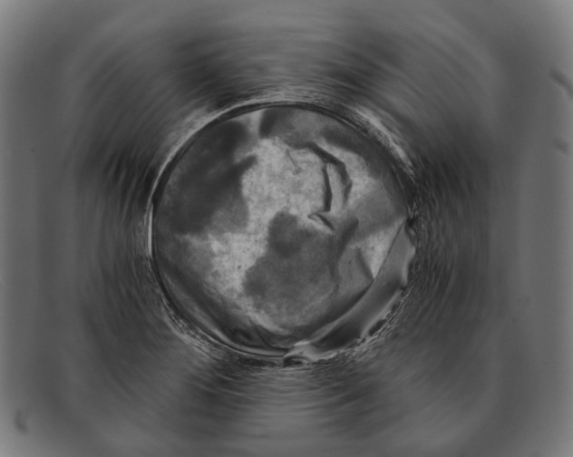 X0000091481276200709131805