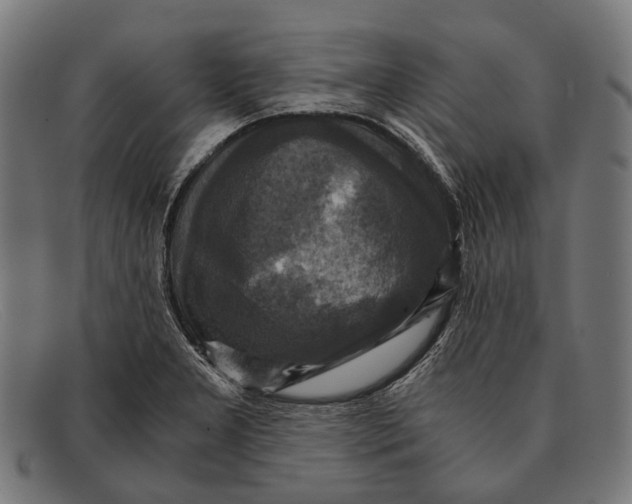 X0000091481277200709131805