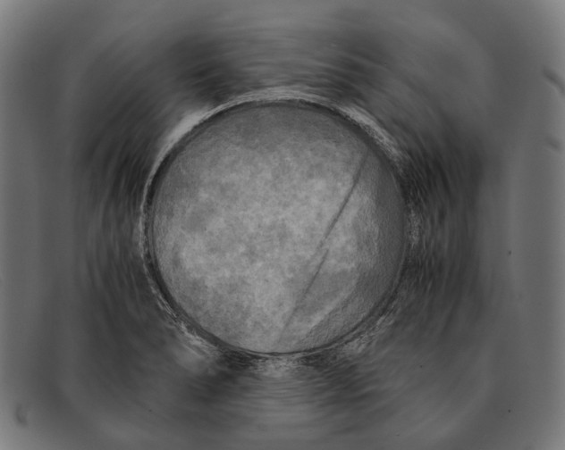 X0000091481278200709131805