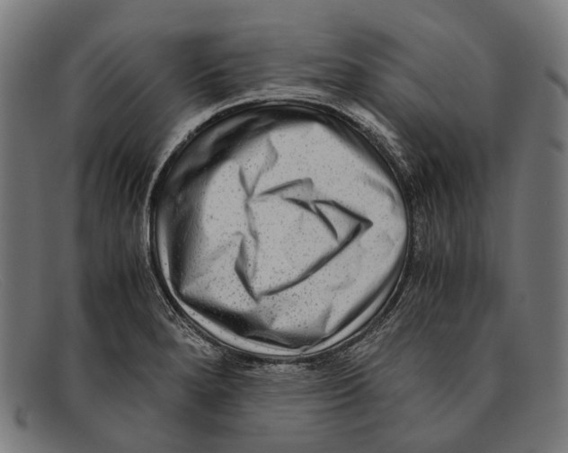 X0000091481280200709131804