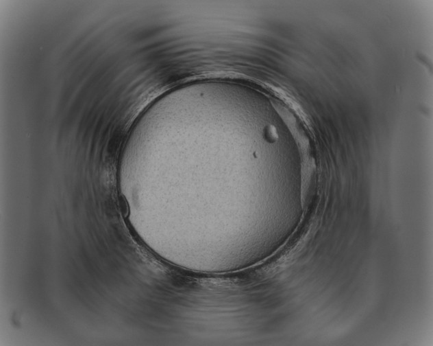 X0000091481281200709131804