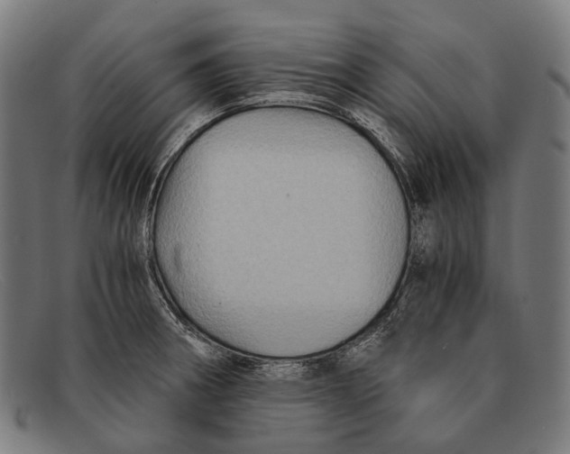 X0000091481282200709131804