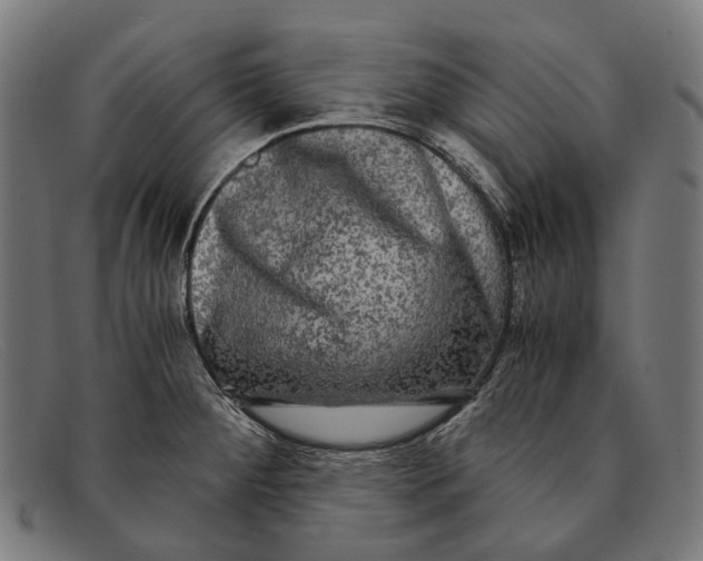 X0000091481284200709131804