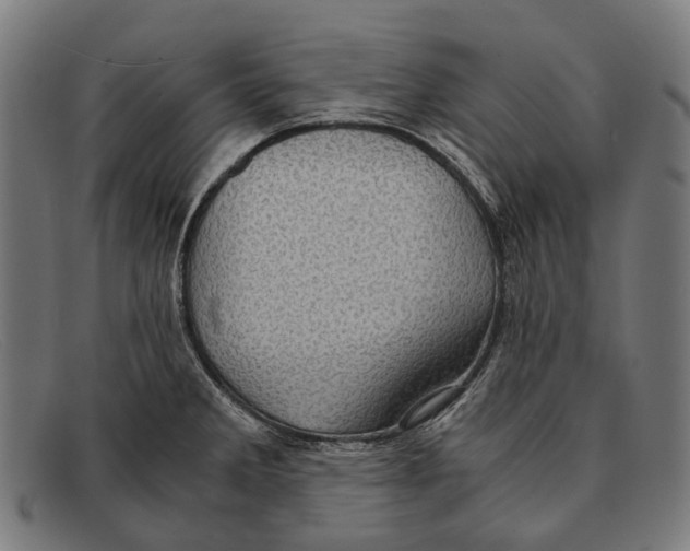 X0000091481285200709131804