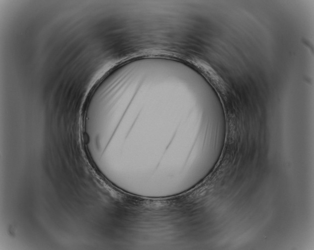 X0000091481286200709131804