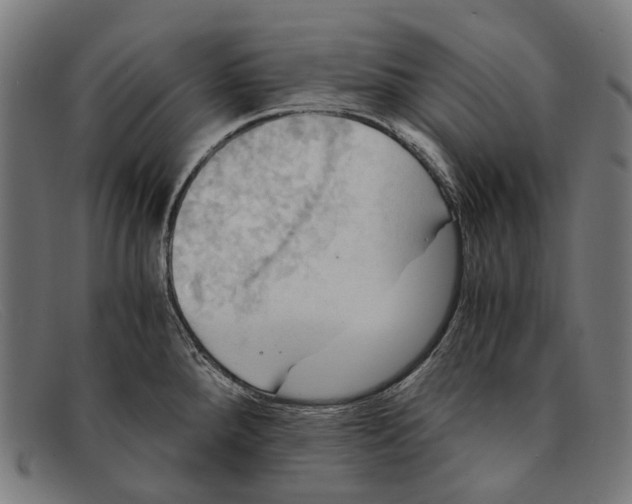 X0000091481288200709131804