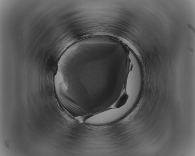 X0000091481289200709131804