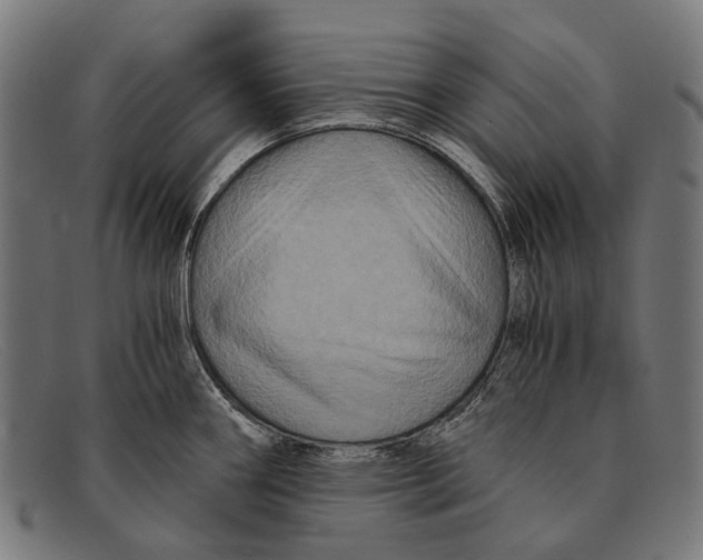 X0000091481290200709131804