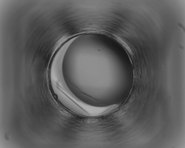 X0000091481291200709131804