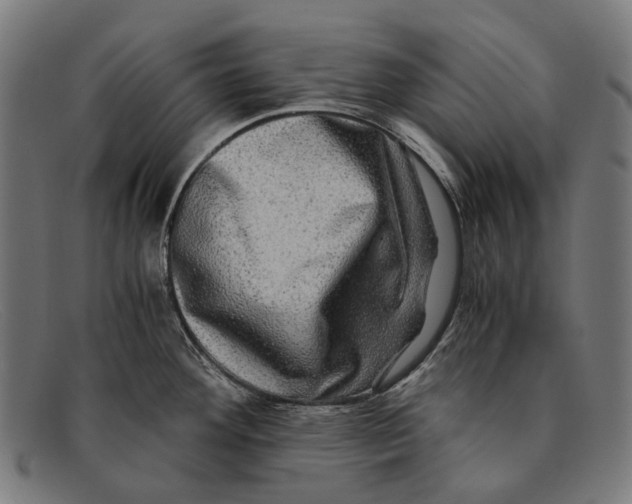 X0000091481292200709131804