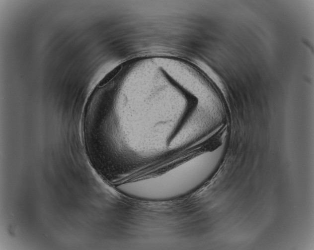 X0000091481293200709131804