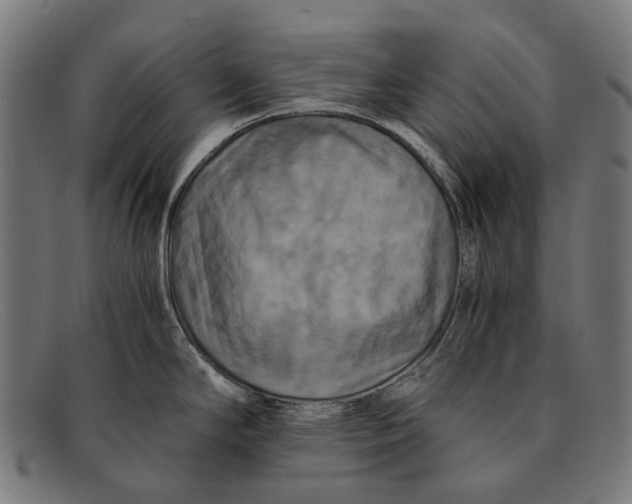 X0000091481294200709131804