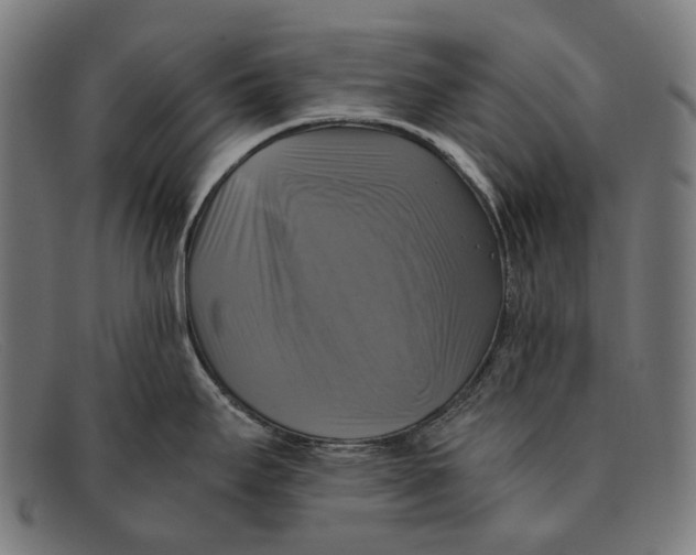 X0000091481295200709131804