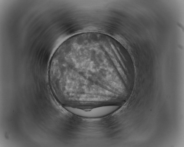 X0000091481296200709131804