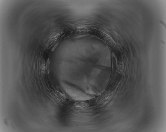 X0000091481298200709131804