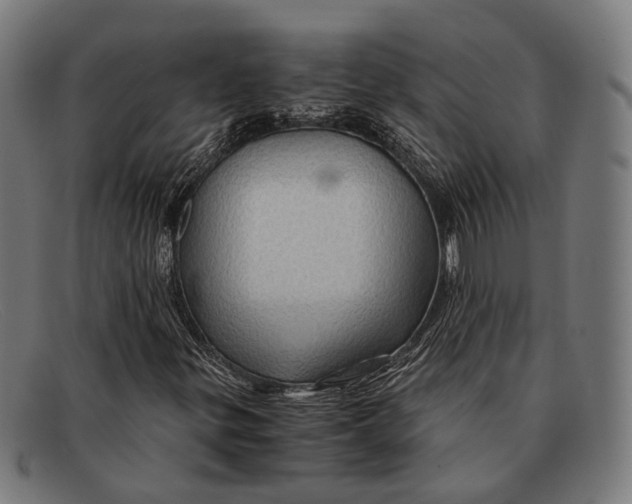 X0000091481299200709131804