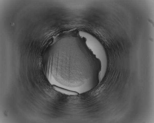 X0000091481300200709131804