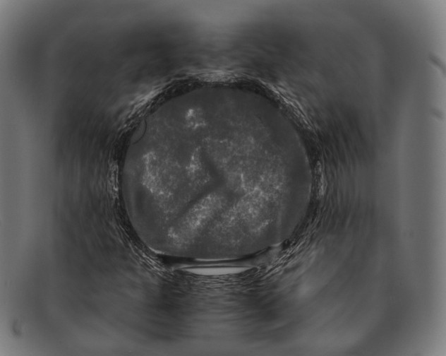 X0000091481301200709131804