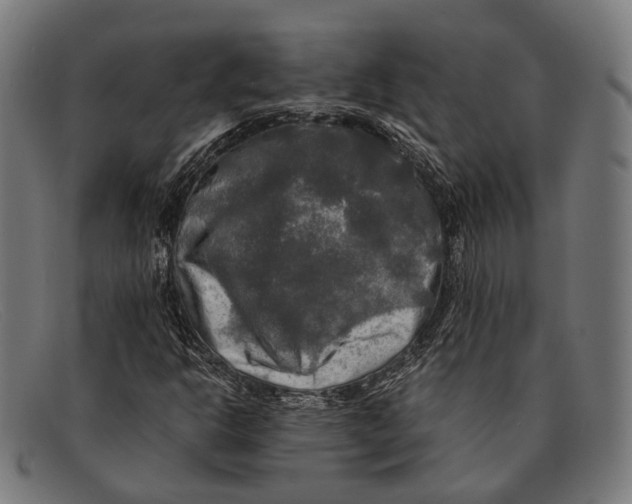 X0000091481302200709131804