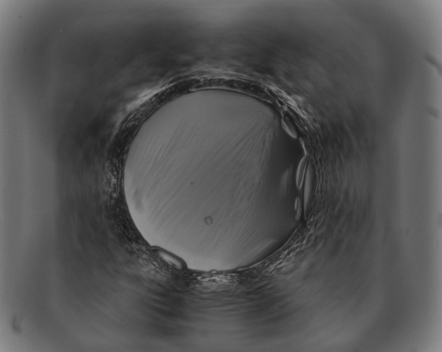 X0000091481303200709131804